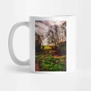 Muddy Country Path HDR Mug